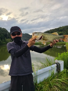 ブラックバスの釣果