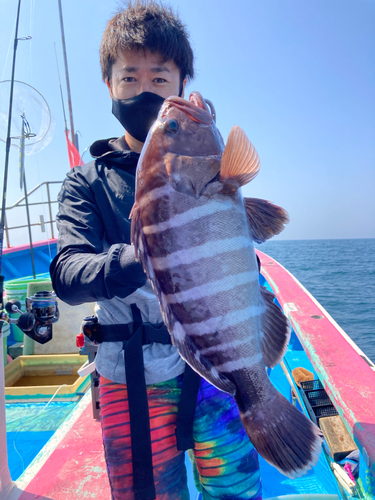 マハタの釣果