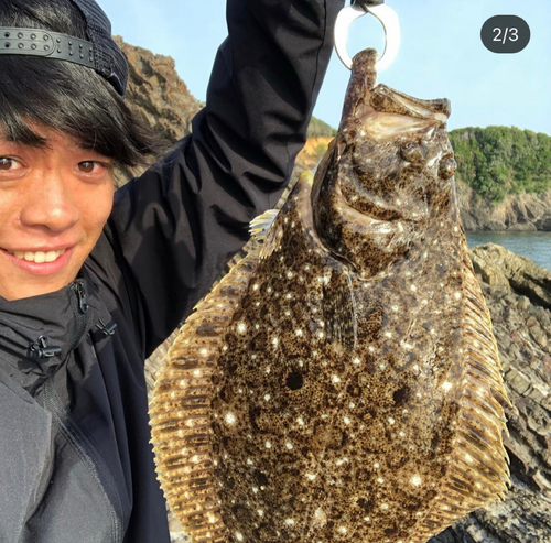 ヒラメの釣果