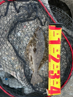ヒラメの釣果