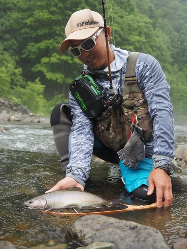 イワナの釣果