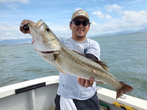 スズキの釣果