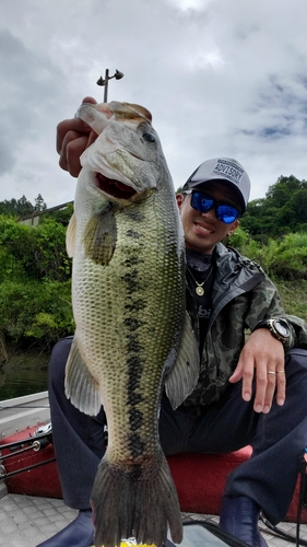 ブラックバスの釣果