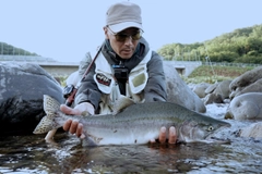 カラフトマスの釣果