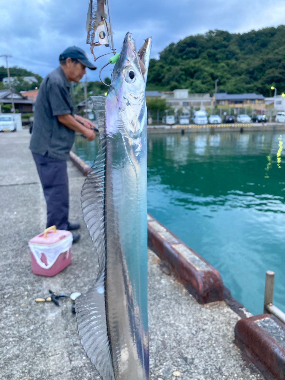 タチウオ