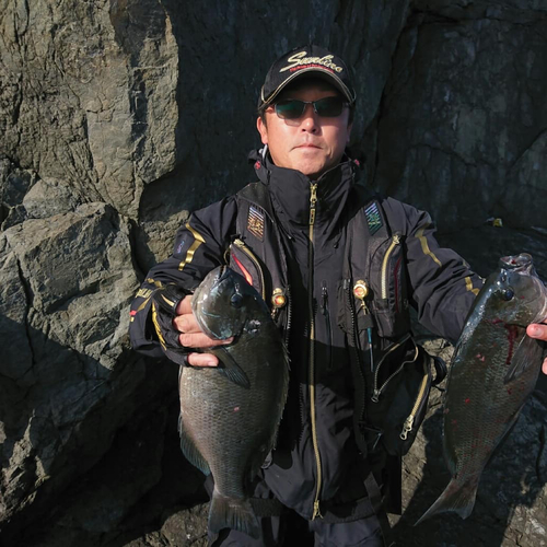 クチブトグレの釣果