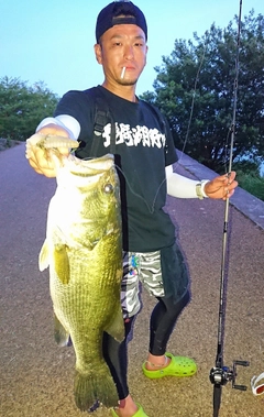 ブラックバスの釣果