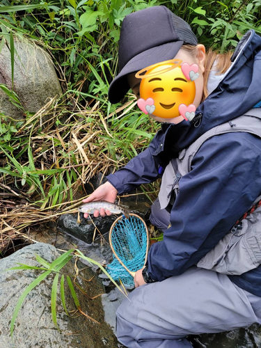 ヤマメの釣果