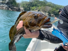 アイナメの釣果