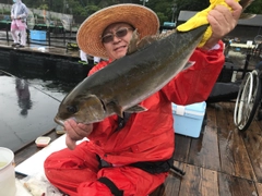 カンパチの釣果