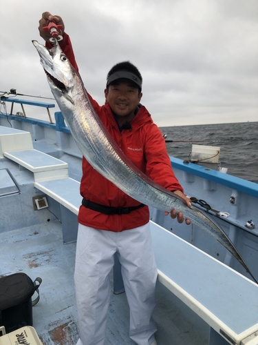 タチウオの釣果