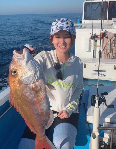 マダイの釣果