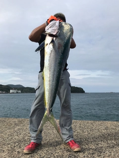 シイラの釣果