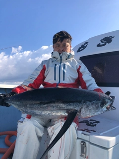 ビンチョウマグロの釣果