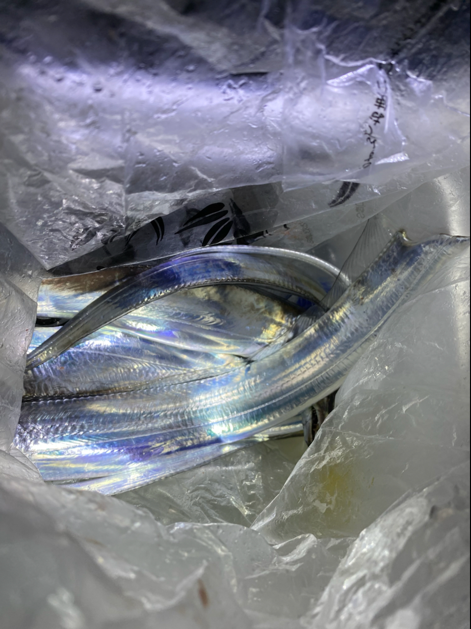 DAIWA 18バトルゲーム タチウオ 2-50の最安値・インプレ・釣果 | 本音