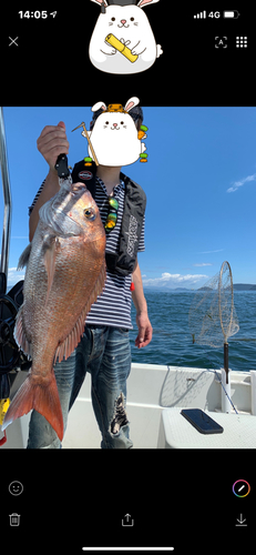 タイの釣果