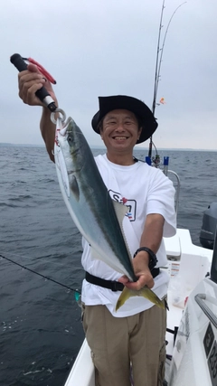 ワラサの釣果