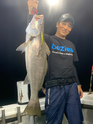 オオニベの釣果