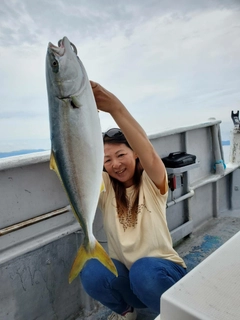 ハマチの釣果