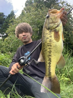 ブラックバスの釣果