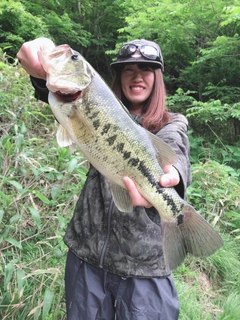 ブラックバスの釣果