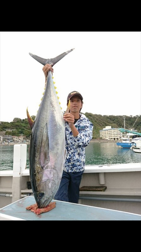 キハダマグロの釣果