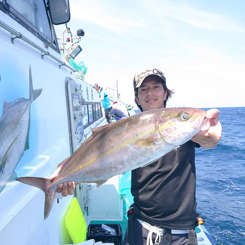 カンパチの釣果