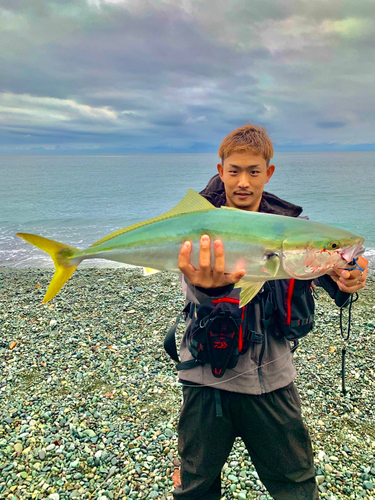 ワラサの釣果