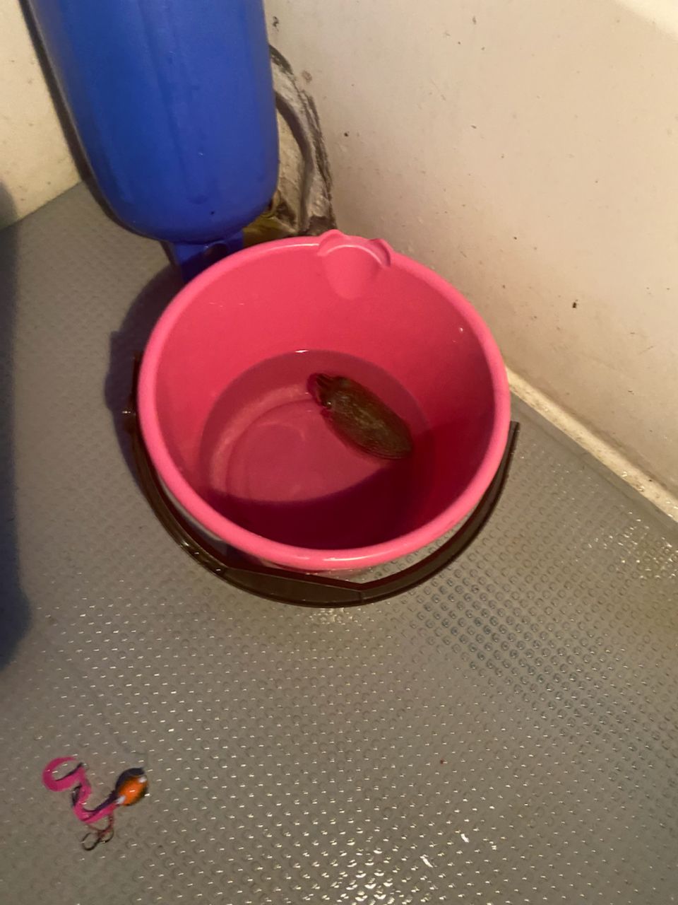 タイ