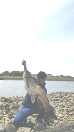 ソウギョの釣果