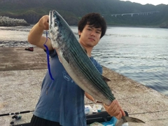 ハガツオの釣果