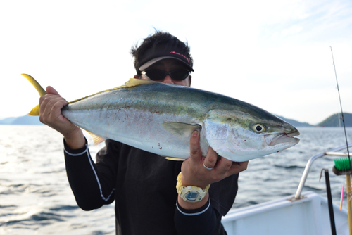 ハマチの釣果