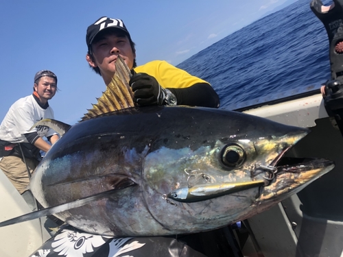 キハダマグロの釣果