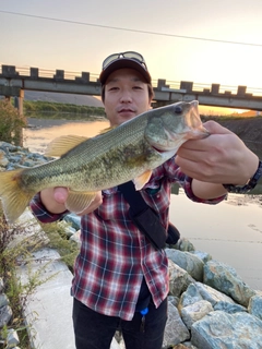ブラックバスの釣果