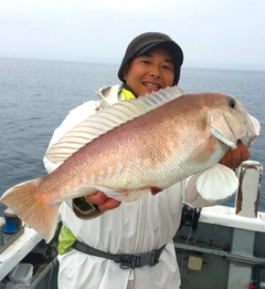 シロアマダイの釣果