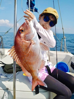 タイの釣果