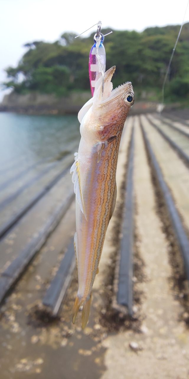 オキエソ