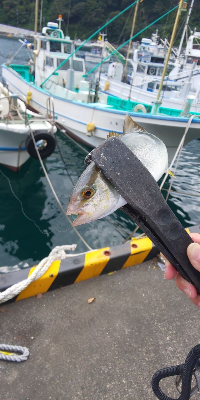 オキエソ