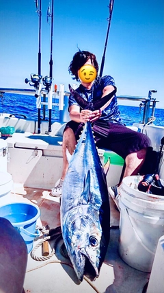 クロマグロの釣果