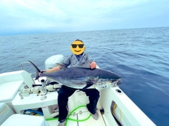 クロマグロの釣果