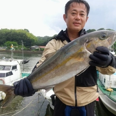 カンパチの釣果