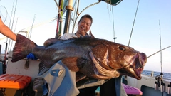 イシナギの釣果