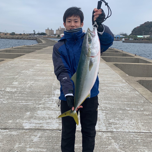 ヤズの釣果