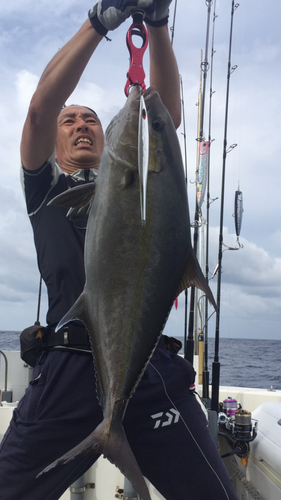 ヒレナガカンパチの釣果