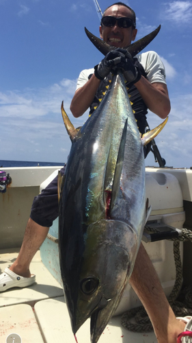 キハダマグロの釣果