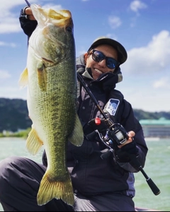 ラージマウスバスの釣果