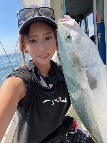 ハマチの釣果