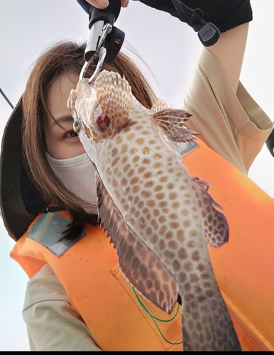 オオモンハタの釣果