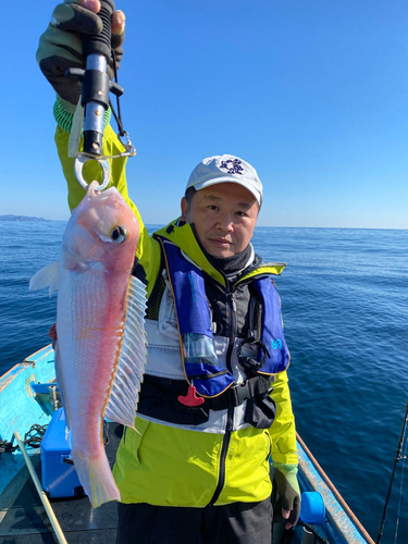 アマダイの釣果