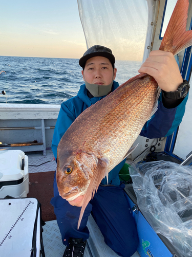 マダイの釣果